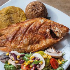 MOJARRA CARTAGENERA
